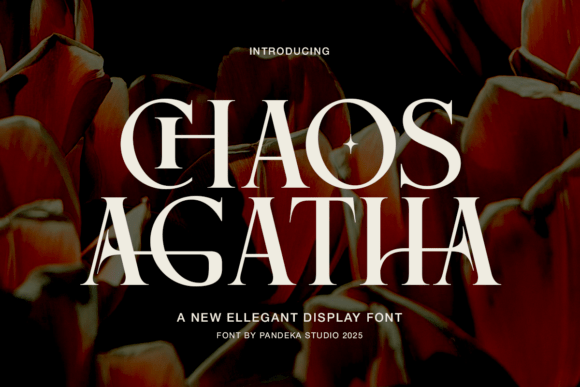 Chaos Agatha Font for Web Design
