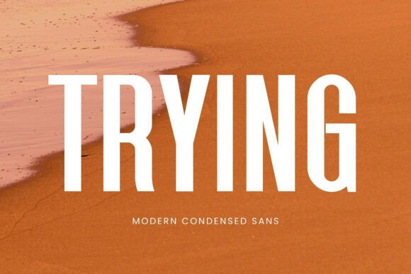 Trying: A Versatile Sans Serif Font