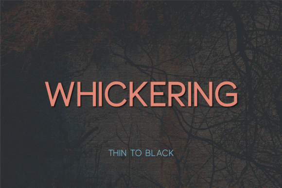 Whickering: A Modern Font for Digital Marketing